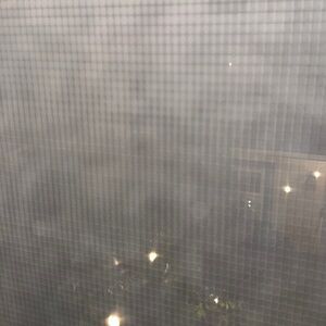 Meet your Posher, Tamara